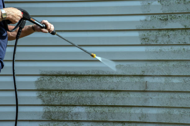 Best Roof Pressure Washing  in Flossmoor, IL