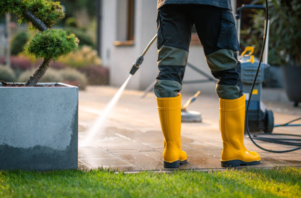 Best Roof Pressure Washing  in Flossmoor, IL